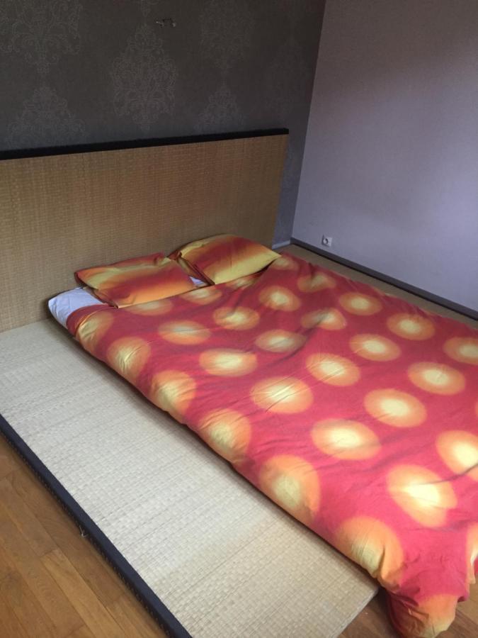 Chambre Double Futon Et Chambre Classique Au Coeur Du Vercors Saint-Agnan-en-Vercors Exterior photo
